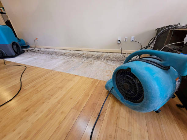Professional Flood Damage Cleanup technician working in Oconto Falls, WI